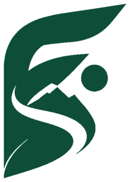 Fidora Studio Logo